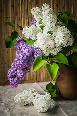 Image showing Still-life with a bouquet of lilac, close up