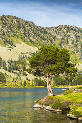 Image showing Landscape in Pyrenees Mountains