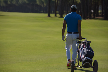 Image showing golf player walking with wheel bag