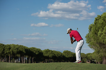 Image showing golf player hitting long shot