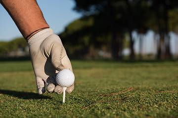 Image showing close up of golf players hand placing ball on tee