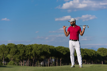 Image showing handsome middle eastern golf player portrait at course