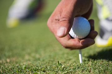 Image showing golf player placing ball on tee