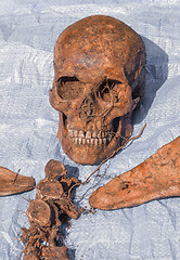 Image showing Skeleton remains of a buried unknown victim