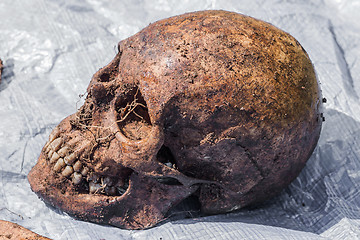 Image showing Skeleton remains of a buried unknown victim