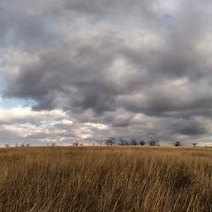 Image showing storm clouds in the autumn steppe