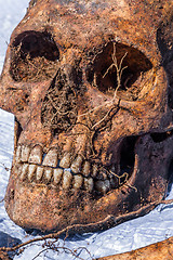 Image showing Skeleton remains of a buried unknown victim