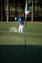 Image showing pro golfer hitting a sand bunker shot