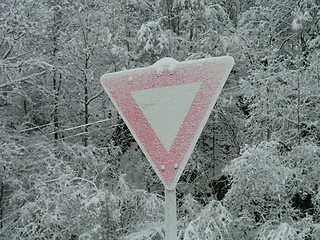 Image showing Frozen roadsign 30.01.2004