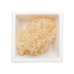 Image showing White fungus