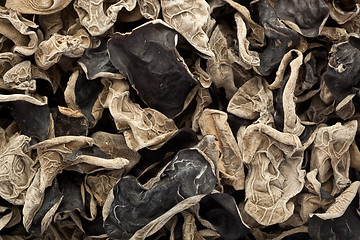 Image showing Dried black fungus