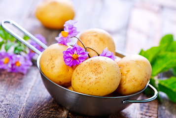 Image showing raw potato