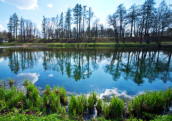 Image showing spring park