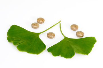 Image showing Leaves and pills