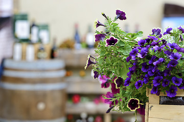 Image showing Flowers with blurred wine barrel