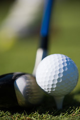 Image showing golf club and ball in grass