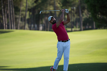 Image showing golf player hitting long shot