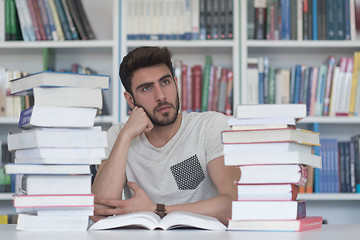 Image showing student study  in school library