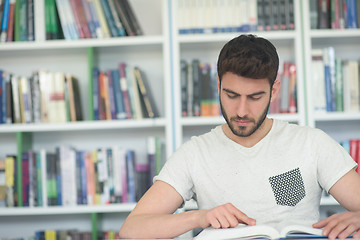 Image showing student study  in school library