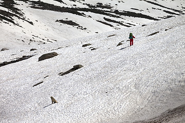 Image showing Hiker and dog in snowy mountains at spring