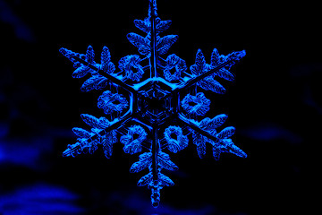 Image showing Snowflake