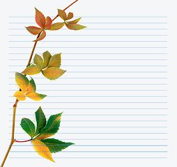 Image showing Multicolor branch of grapes leaves on notebook paper