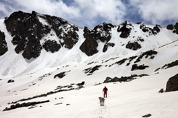 Image showing Hiker and dog in snowy mountains at spring