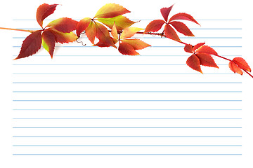Image showing Red autumn branch of grapes leaves on notebook paper