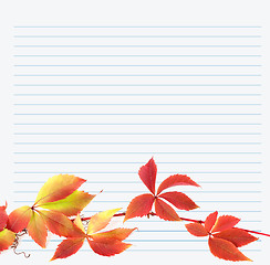 Image showing Multicolor branch of grapes leaves on notebook paper