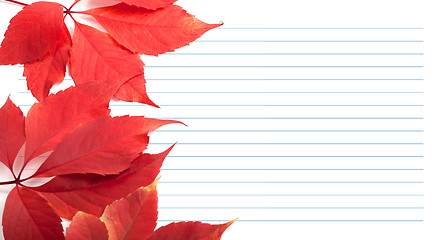 Image showing Red virginia creeper leaves and notebook paper