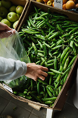 Image showing the female lays pea pods in a package