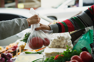 Image showing woman buys vegetables at a market