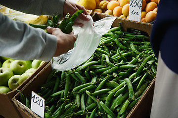 Image showing the female lays pea pods in a package