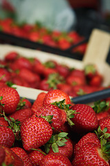 Image showing strawberry rests in a box