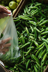 Image showing the female lays pea pods in a package