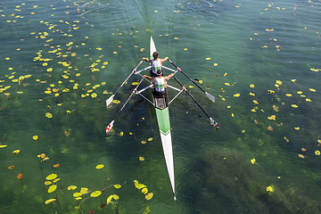 Image showing Two rowers  rowing