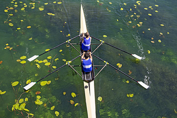 Image showing Two rowers  rowing