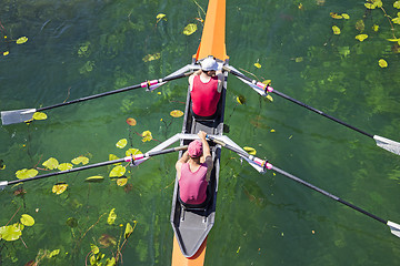 Image showing Two rowers  rowing