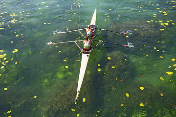 Image showing Two rowers  rowing