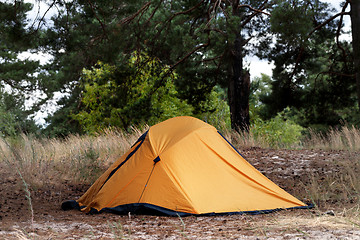 Image showing Orange tent in forest