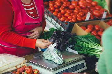 Image showing the seller sells fresh Basil leaves