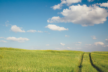 Image showing the track from the car to the field