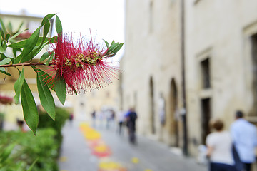 Image showing Flower with blurred houses and people