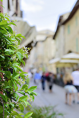 Image showing Flower with blurred houses and people