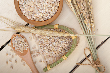 Image showing organic wheat grains 