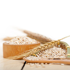 Image showing organic barley grains