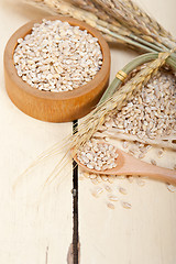 Image showing organic wheat grains 