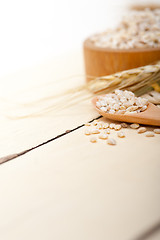 Image showing organic wheat grains 