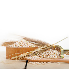 Image showing organic wheat grains 