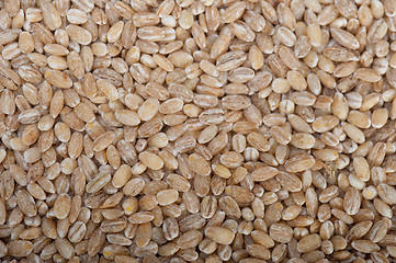 Image showing organic wheat grains 